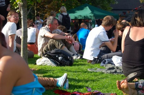 Festival in the Park