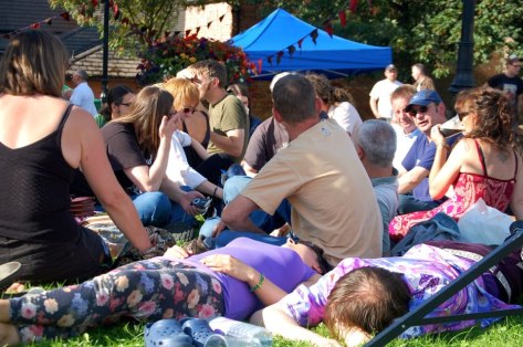 Festival in the Park